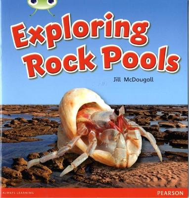 Book cover for Bug Club Guided Non Fiction Year 1 Green C Exploring Rock Pools