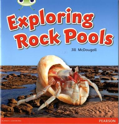 Cover of Bug Club Guided Non Fiction Year 1 Green C Exploring Rock Pools