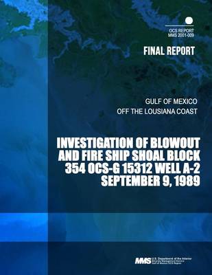 Book cover for Investigation of Blowout and Fire Ship Shoal Block 354 OCS-G 15312 Well A-2