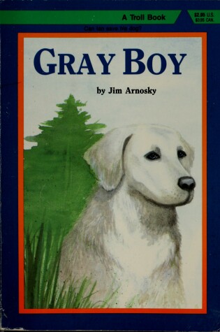 Cover of A Gray Boy