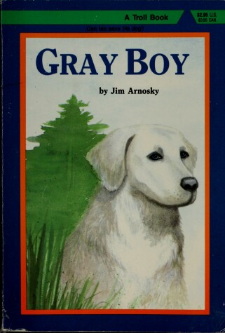 Book cover for A Gray Boy