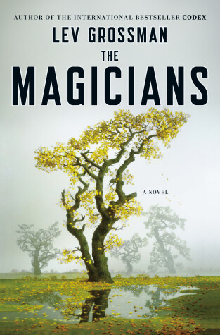 Book cover for The Magicians