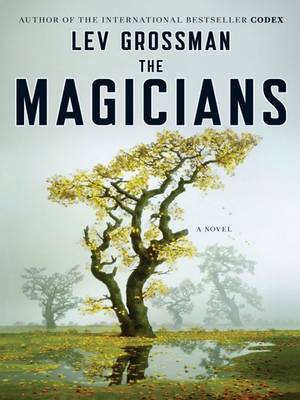 Book cover for The Magicians