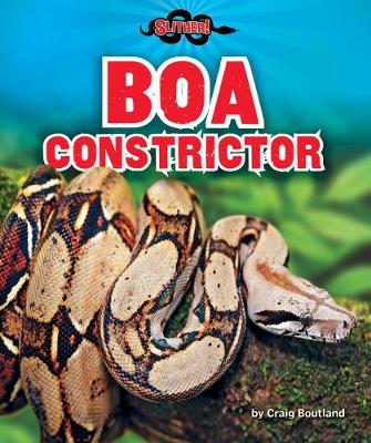 Book cover for Boa Constrictor