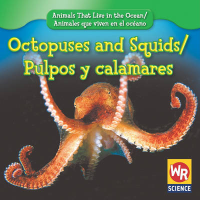 Book cover for Octopuses and Squids / Pulpos Y Calamares