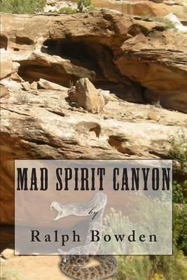 Book cover for Mad Spirit Canyon