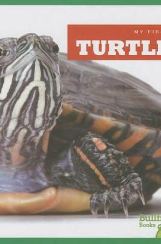 Cover of Turtles