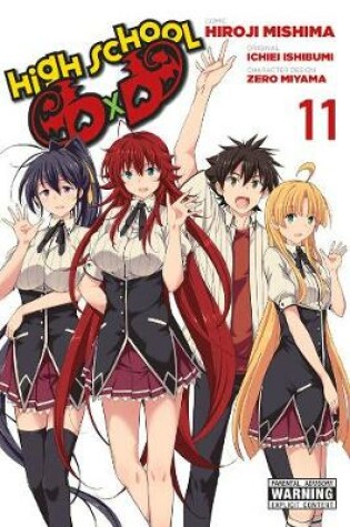 Cover of High School DxD, Vol. 11