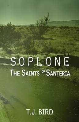 Book cover for Soplone