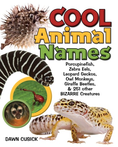 Book cover for Cool Animal Names