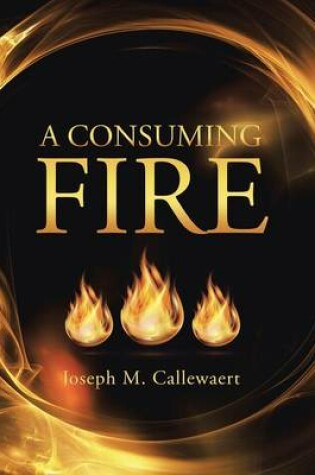 Cover of A Consuming Fire