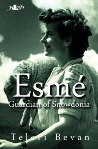 Cover of Esmé - Guardian of Snowdonia