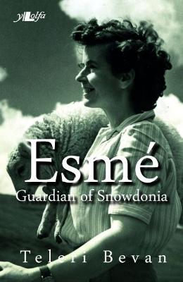 Book cover for Esmé - Guardian of Snowdonia