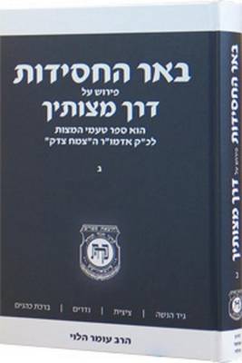 Book cover for Beer Hachasidut - Derech Mitzvotecha Vol. 2