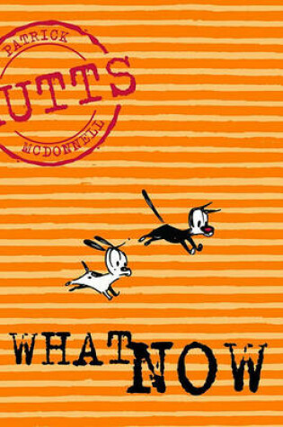 Cover of What Now