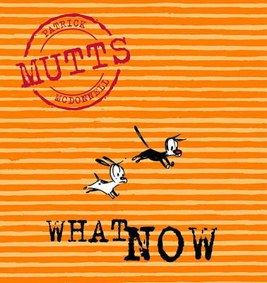 Book cover for What Now