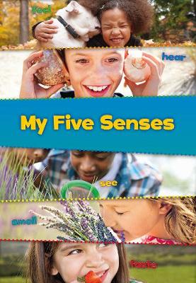 Book cover for My Five Senses