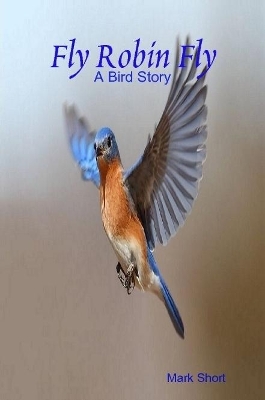 Book cover for Fly Robin Fly