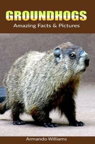 Cover of Groundhogs