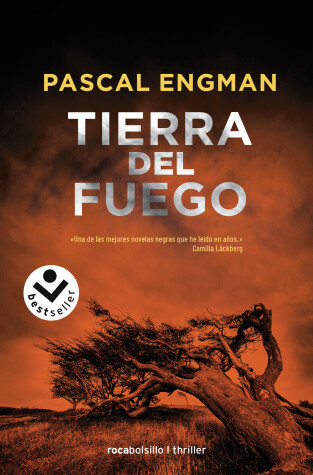 Book cover for Tierra del Fuego/ Land of Fire