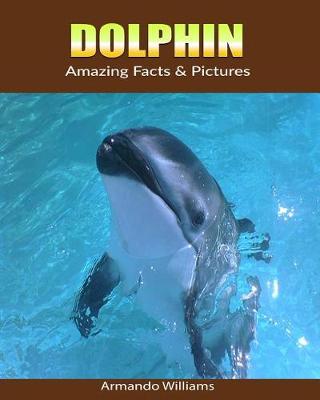 Book cover for Dolphin