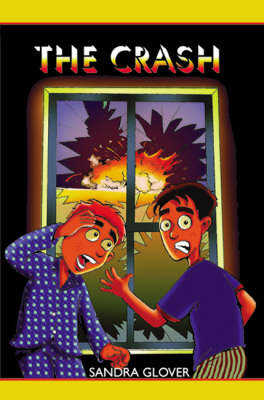 Book cover for The Crash