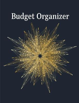 Book cover for Budget Organizer