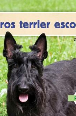 Cover of Perros Terrier Escoces (Scottish Terriers)