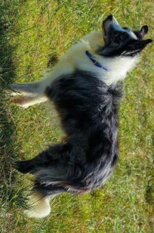 Cover of Border Collie Herding Dog in the Grass Journal