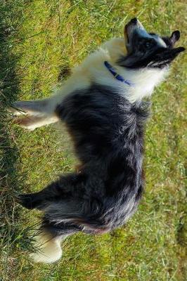 Book cover for Border Collie Herding Dog in the Grass Journal