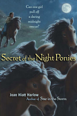 Cover of Secret of the Night Ponies