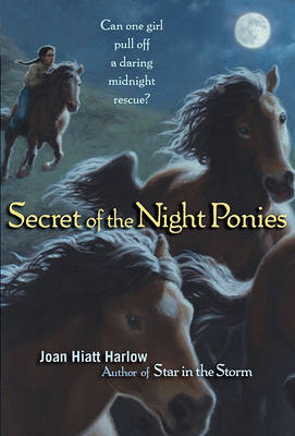 Book cover for Secret of the Night Ponies