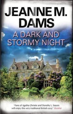 Book cover for A Dark and Stormy Night