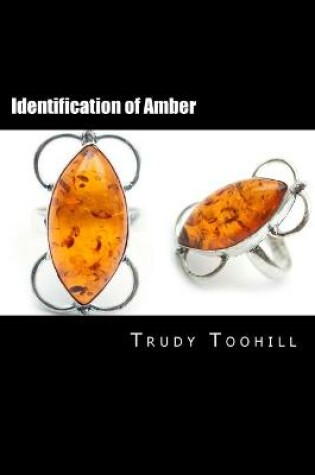 Cover of Identification of Amber