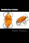 Book cover for Identification of Amber