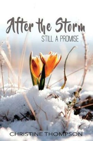 Cover of After the Storm