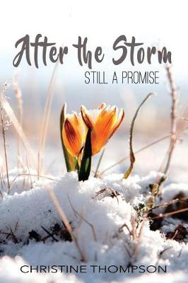 Book cover for After the Storm