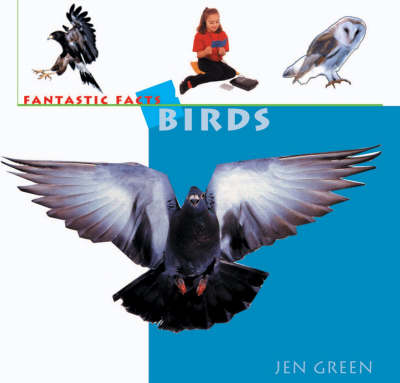 Book cover for Birds