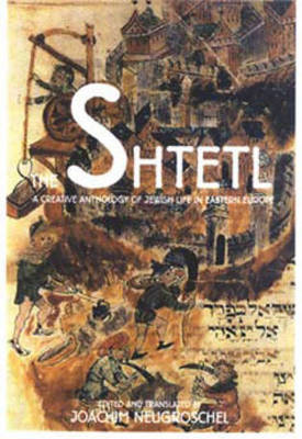 Book cover for The Shtetl