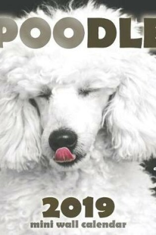 Cover of Poodle 2019 Mini Wall Calendar (UK Edition)