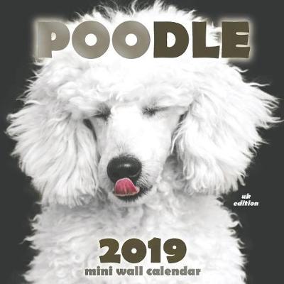 Book cover for Poodle 2019 Mini Wall Calendar (UK Edition)