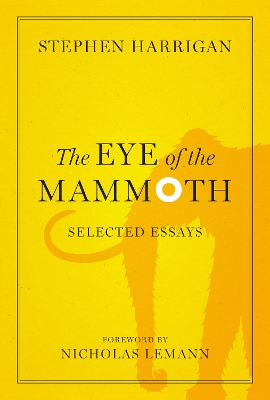 Book cover for The Eye of the Mammoth