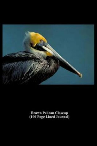 Cover of Brown Pelican Closeup (100 Page Lined Journal)