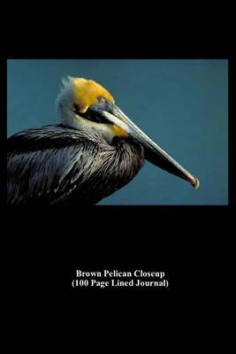 Book cover for Brown Pelican Closeup (100 Page Lined Journal)