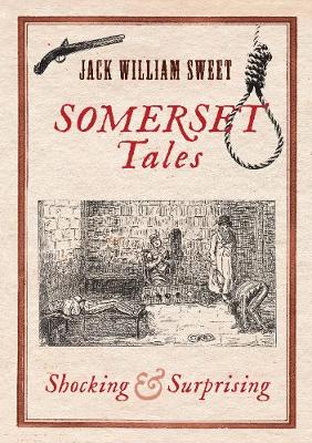 Book cover for Somerset Tales