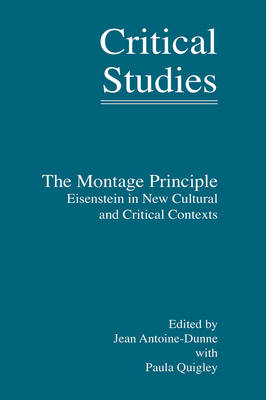 Book cover for The Montage Principle