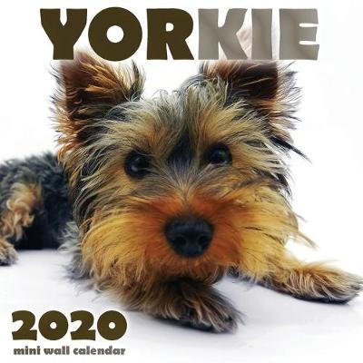 Book cover for Yorkie 2020 Mini Wall Calendar