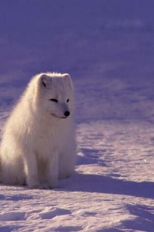 Cover of A Beautiful Arctic Fox Sitting in the Snow