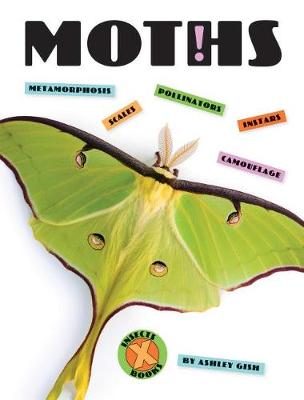 Book cover for Moths