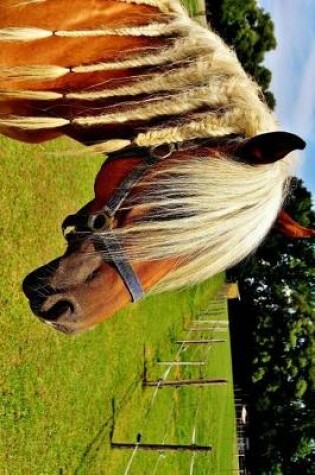 Cover of Haflinger Horse with a Braided Mane Journal